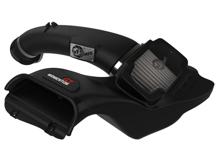 MOMENTUM GT INTAKE W/PRO DRY S 21-26 F150 5.0L