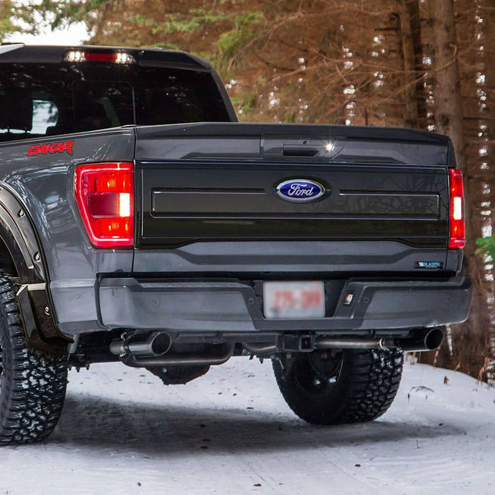TAILGATE APPLIQUE 21-26 F150