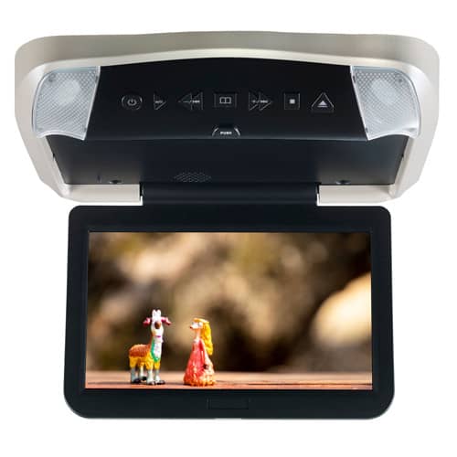 10.1" OVERHEAD DVD SYSTEM