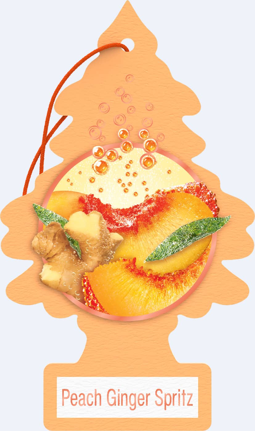 AIR FRESHNER 24 PK PEACH GINGER SPRITZ