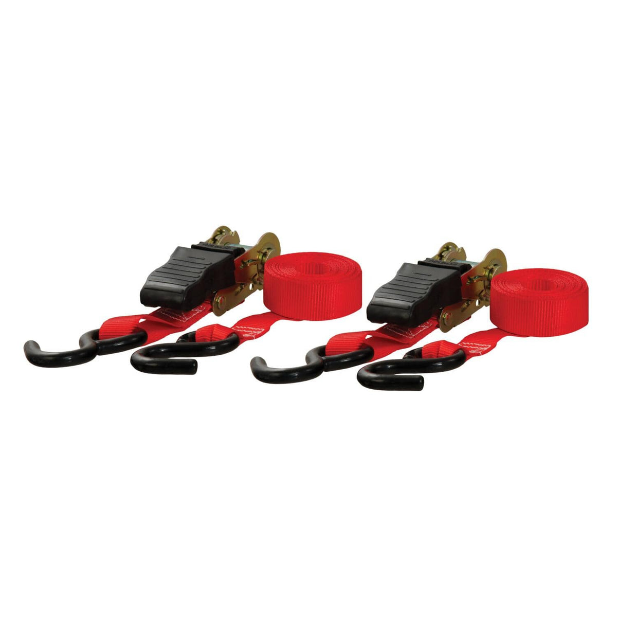 CARGO STRAP 1"X10'