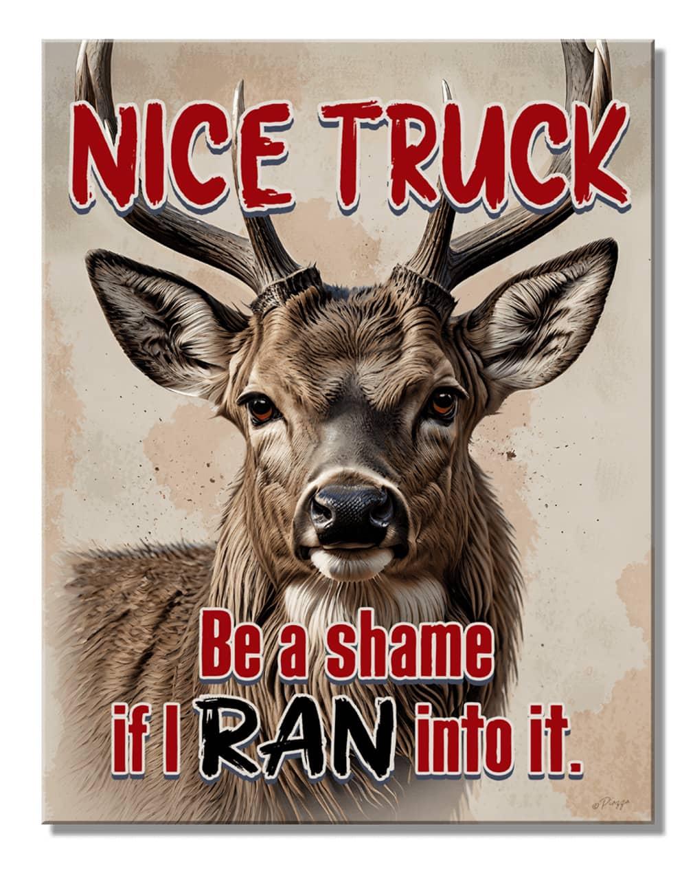 NICE TRUCK