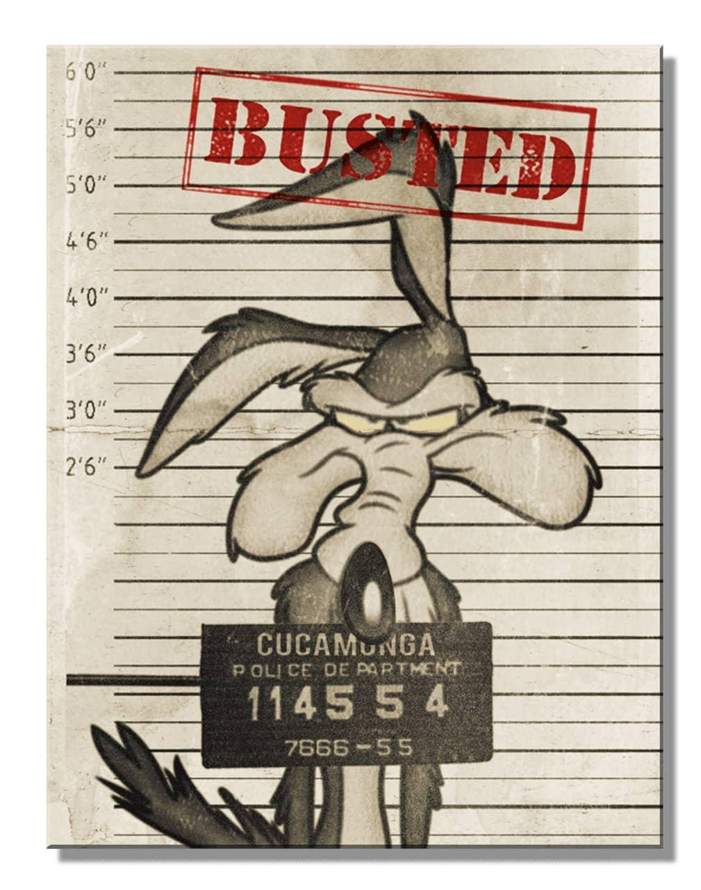 LOONEY TUNES BUSTED
