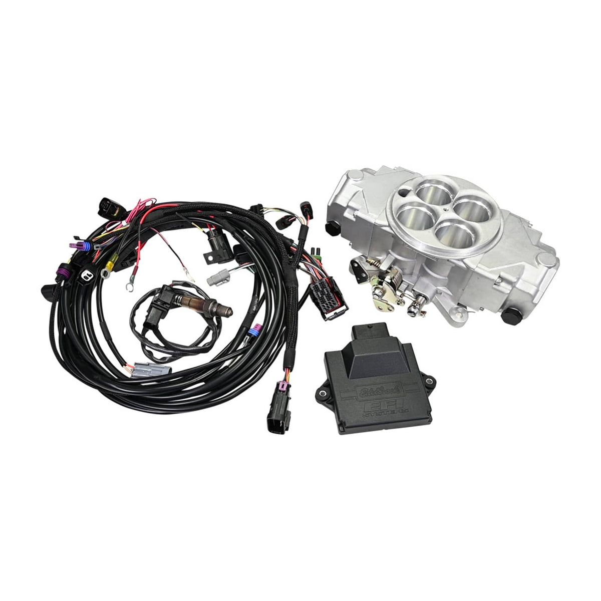 EZ EFI SYSTEM