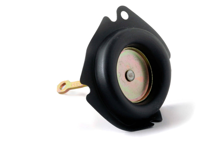 DIAPHRAGM
