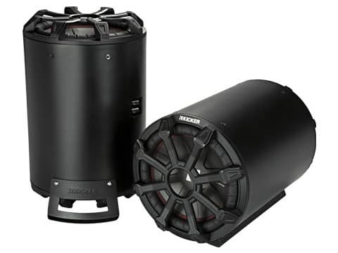 10-INCH SUBWOOFER 2-OHM