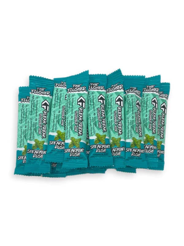 BODY WIPES  - SPEARMINT RUSH - FLUSHER 100 PACK