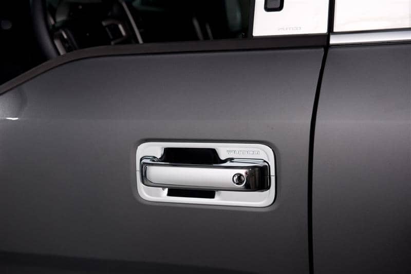 DOOR HANDLE INSERT 15-20 F150/17-22 S/DUTY REG/EXT