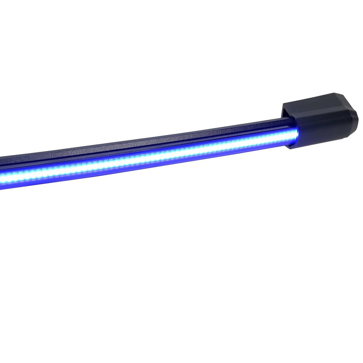 E-BLADE 60" BLUE/WHITE