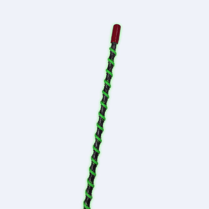 6' FULLY LIT LED WHIP QUICK DISCONNECT MOUNT - STEADY GREEN