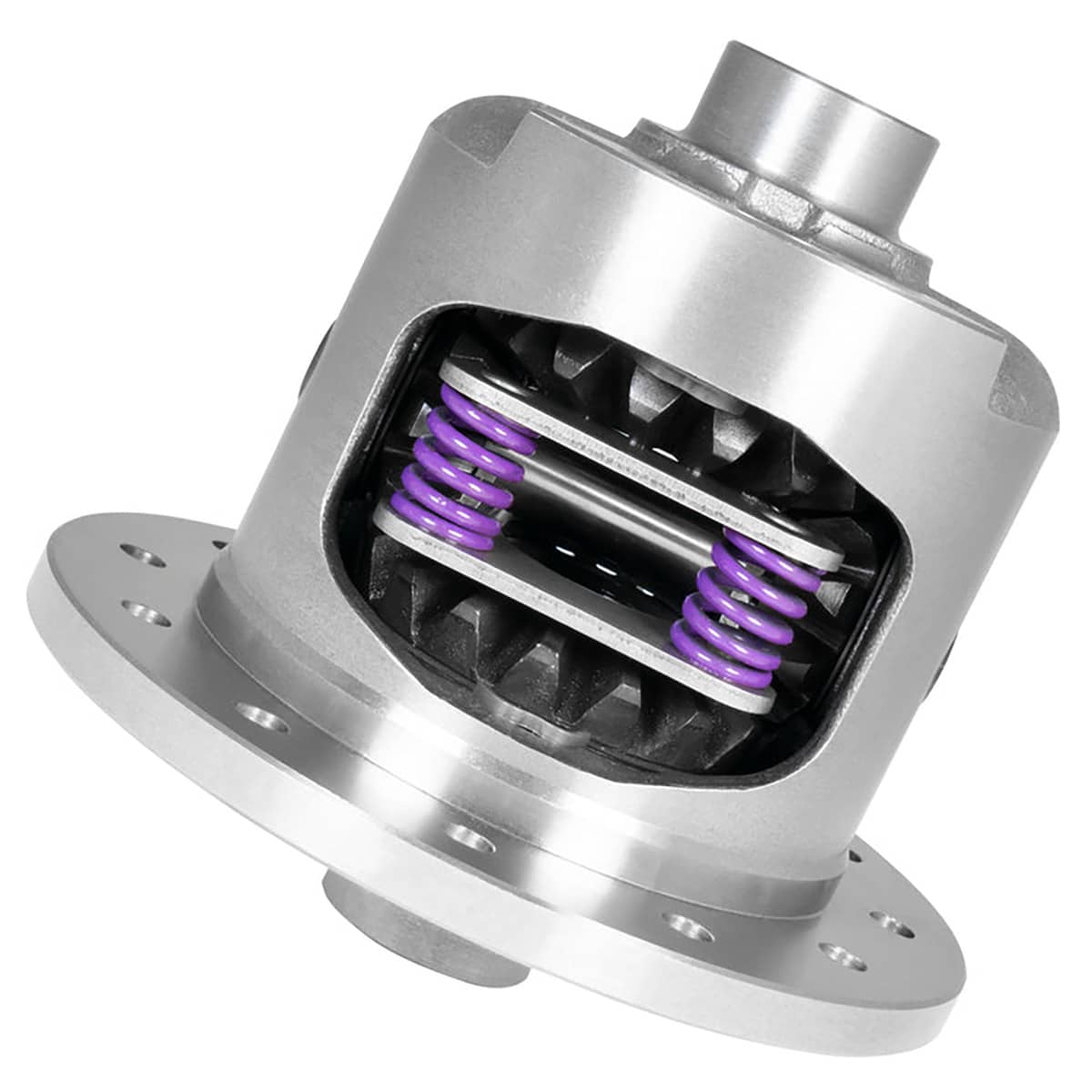 12P GM 3.08-3.90 DURA GRIP LIMITED SLIP 30SPL COMPOSITE CLUTCHES
