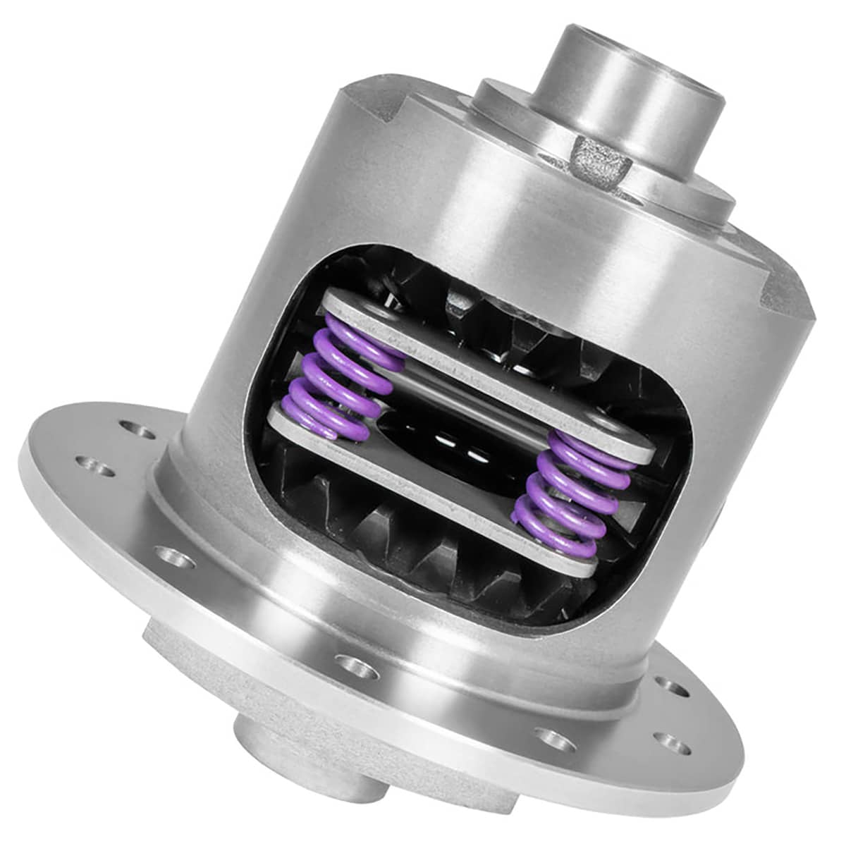 8.5" GM 2.73 & UP DURA GRIP LIMITED SLIP 28SPL COMPOSITE CLUTCHES
